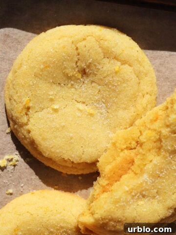 chewy lemon sugar cookies