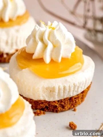 Mini lemon cheesecakes with lemon curd, whipped cream, and Biscoff cookie crust.