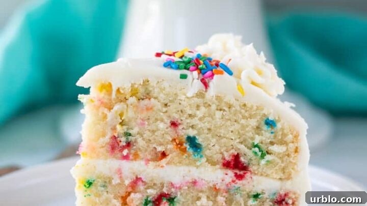 close up view of a slice of gluten free funfetti cake