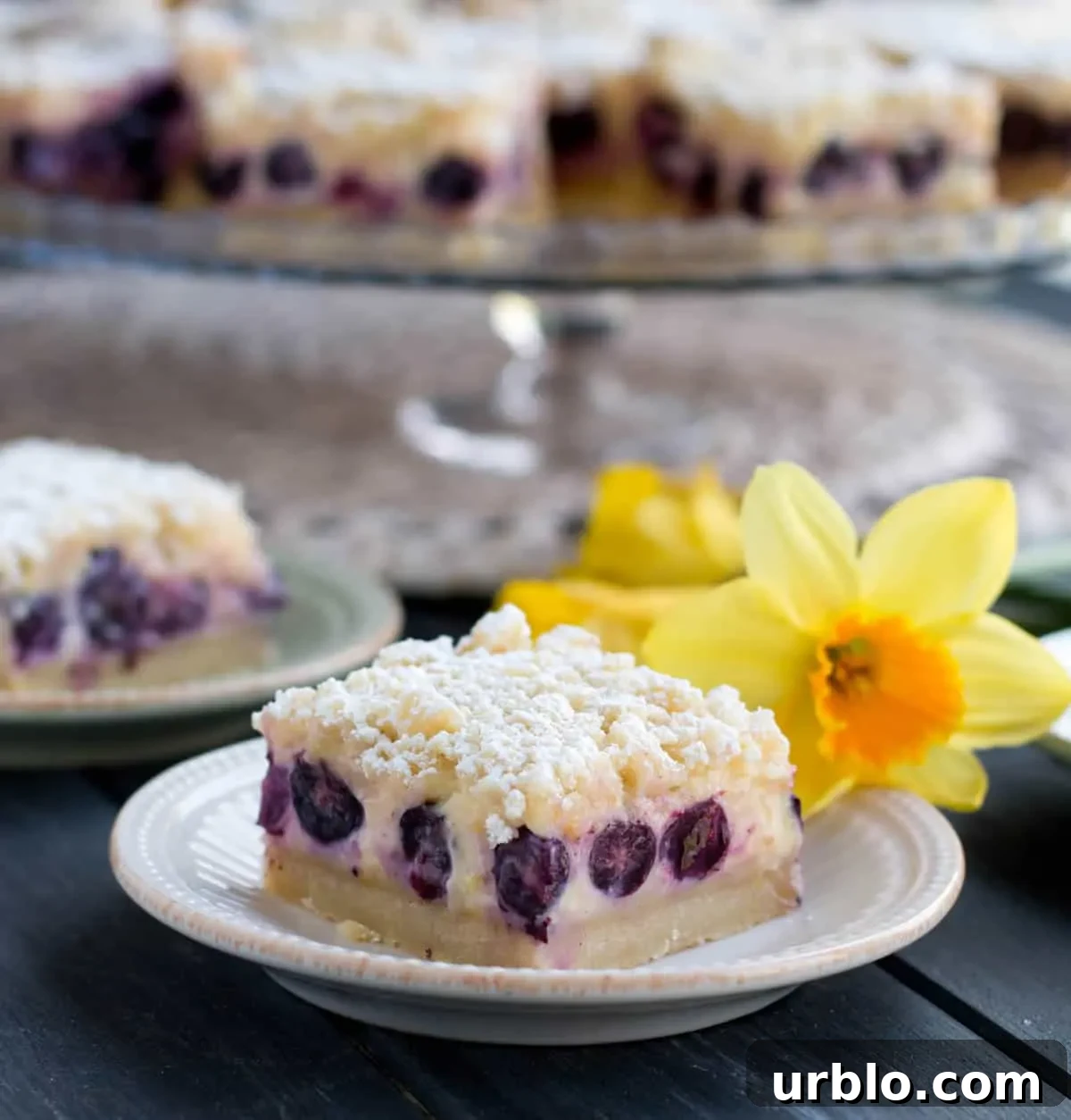 Lemon Blueberry Shortbread Bars. A thick, soft shortbread crust is topped with a lemony custard, fresh blueberries and a lemon crumb topping!