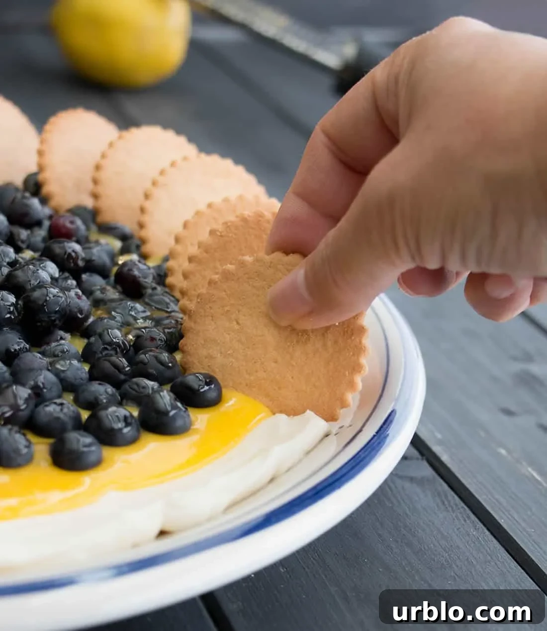 Lemon Blueberry Cheesecake Dip. No bake cheesecake layered with lemon curd and fresh blueberries. It's a dip that looks like a fancy dessert!