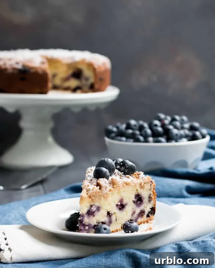Blueberry Crumb Cake. A buttery and moist sour cream coffee cake, full of fresh blueberries and topped with a delicious brown sugar cinnamon crumb topping.