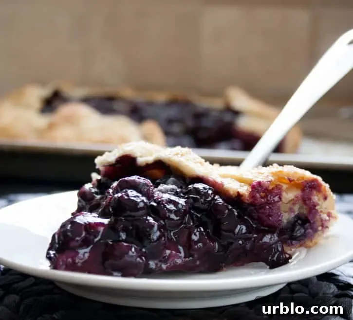 Blueberry Galette Slice on individual plate