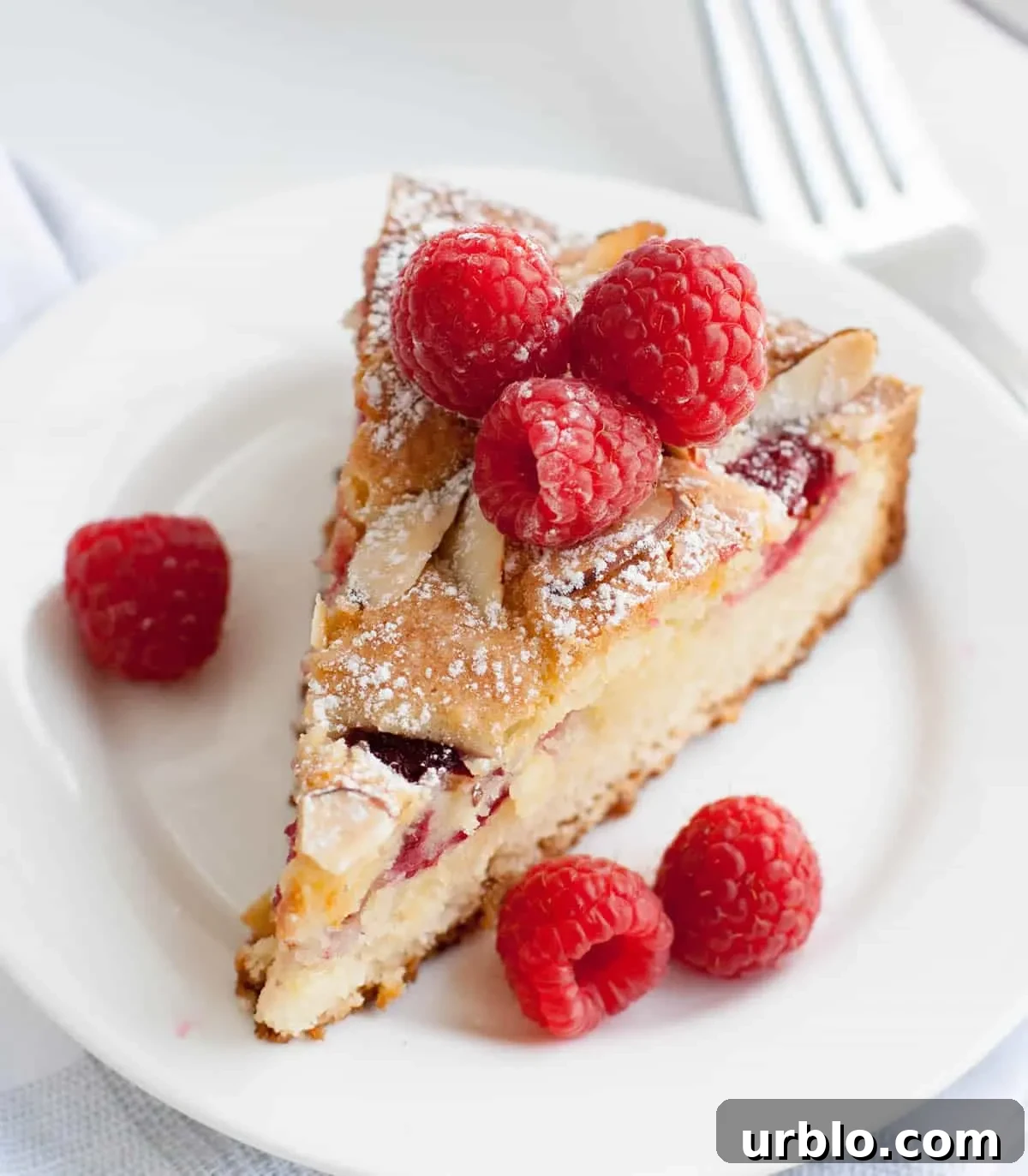 Slice of Raspberry Almond Cake topped with fresh raspberries