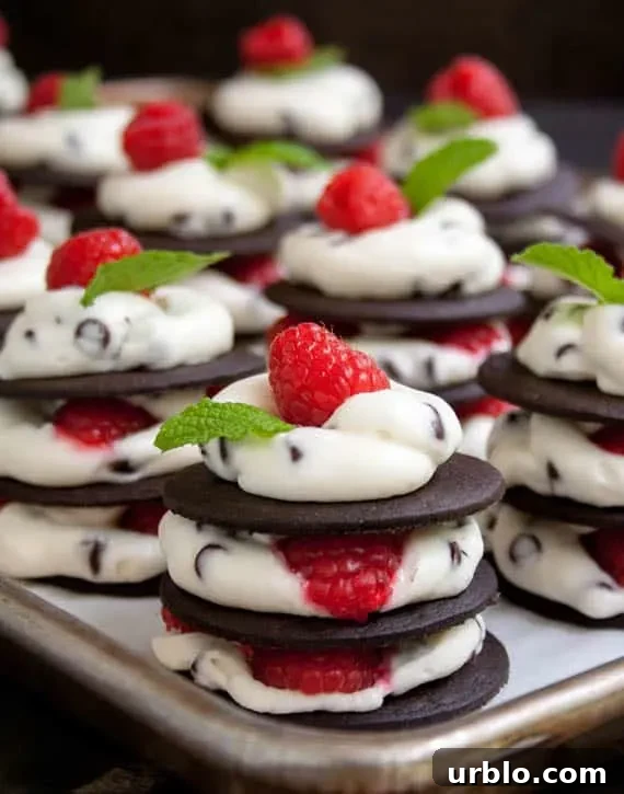 Tray filled with No Bake Ice Box Raspberry Chocolate Chip Cheesecake Stacks