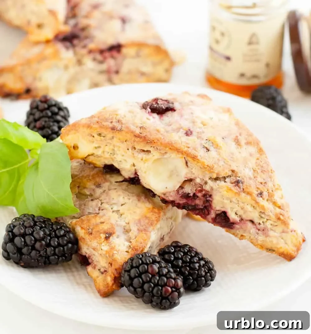 Two Blackberry Fontina Scones on a plate