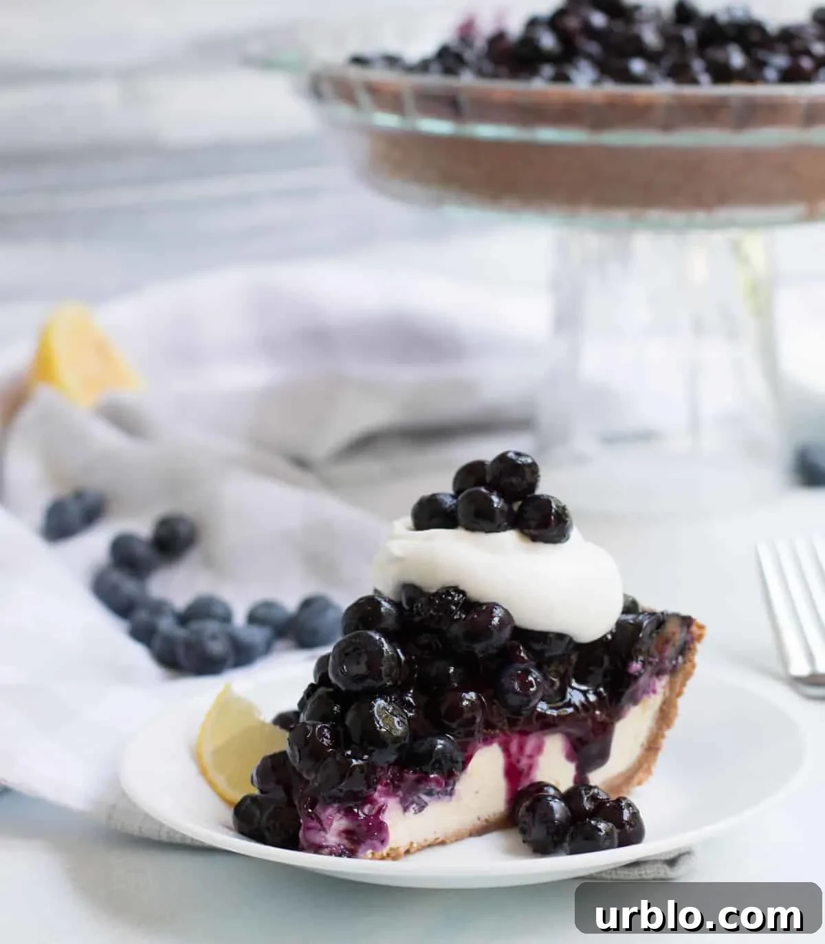Fresh Blueberry Cheesecake Pie. Classic cheesecake, baked on a graham and vanilla wafer crust and topped with a whole pie's worth of homemade pie filling!