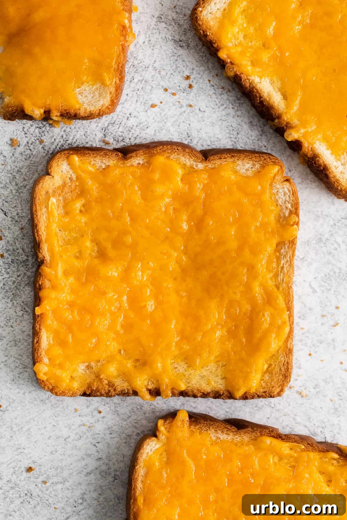 Slice of cheese toast.