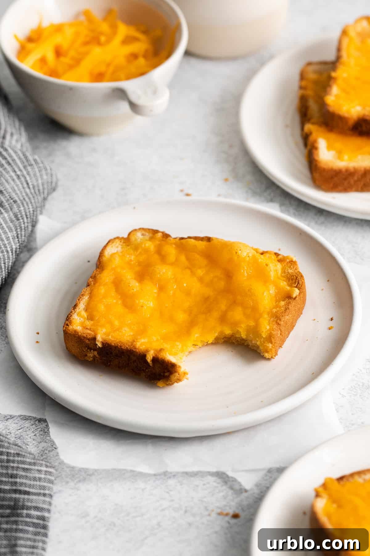 Cheese toast with a bite taken out of it.
