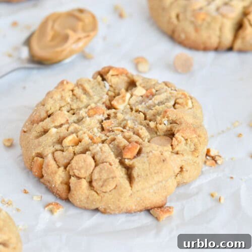 peanut butter cookie on parchment paper with chopped peanuts around it.