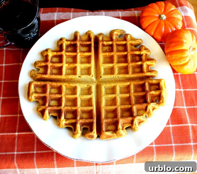 Pumpkin Waffles from Jamie Cooks It Up