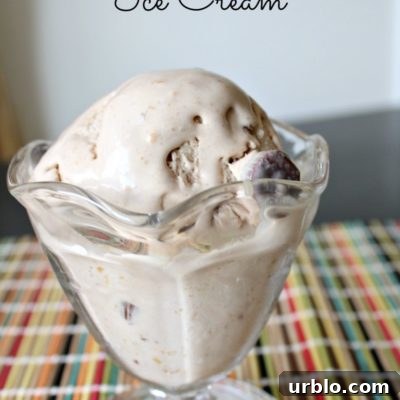 Chocolate Peanut Butter Cup Ice Cream Recipe: Rich & Creamy Scoop 2 img 1512 2