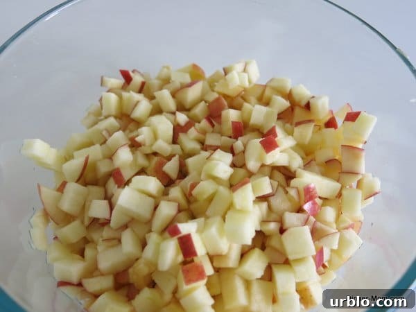 Low-Sugar Apple-Berry Salsa with Cinnamon Chips 3 Finely diced apple in a bowl