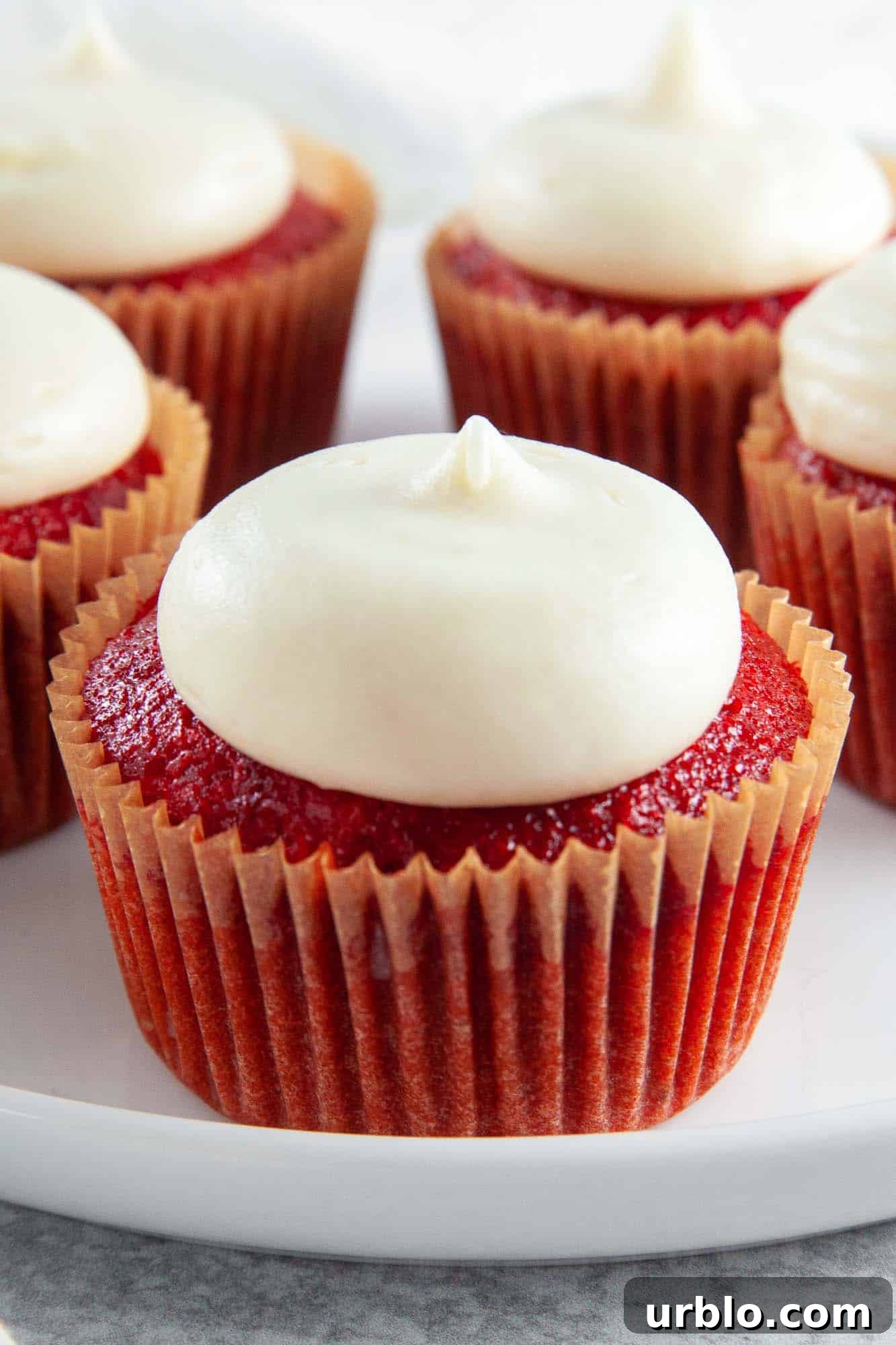 A close up of red velvet cupcakes with perfect cream cheese frosting