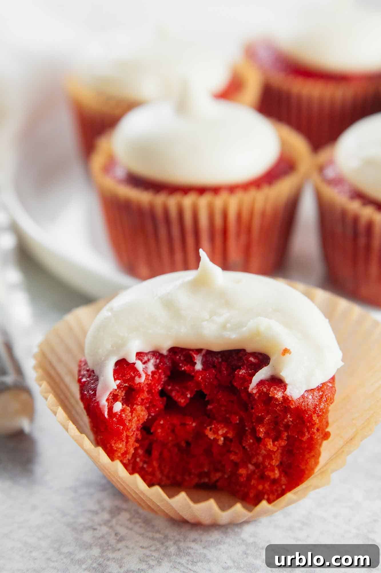 A Red Velvet Cupcake from the inside