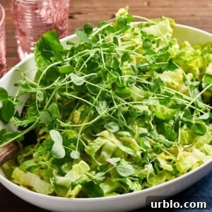 Crunchy Mixed Green Salad