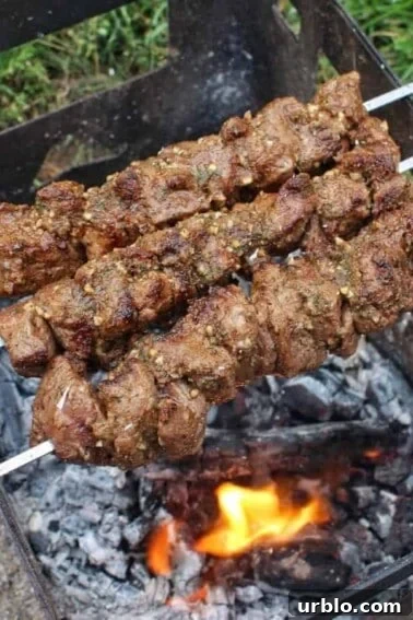 zesty lamb kebabs
