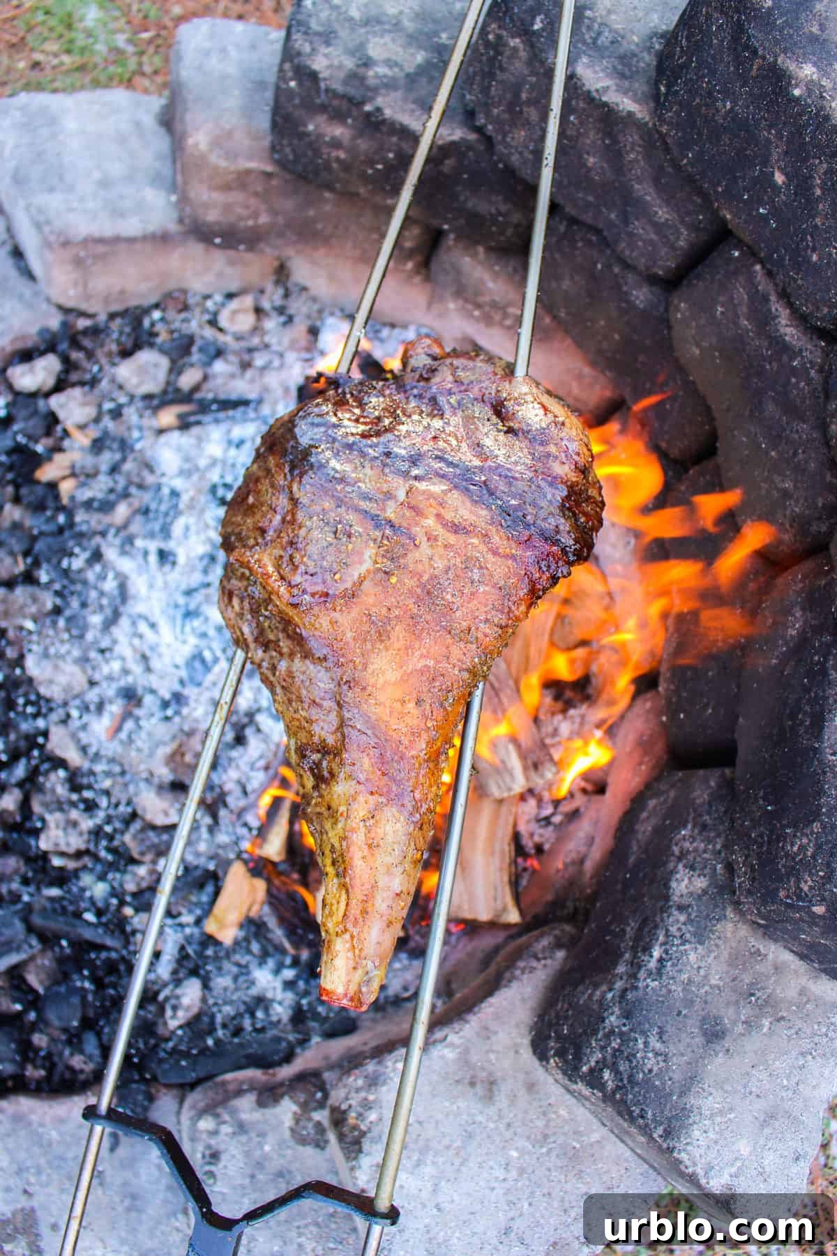Another view of the roast while it turns over the fire. 