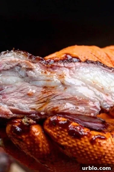 delicious bbq lamb ribs