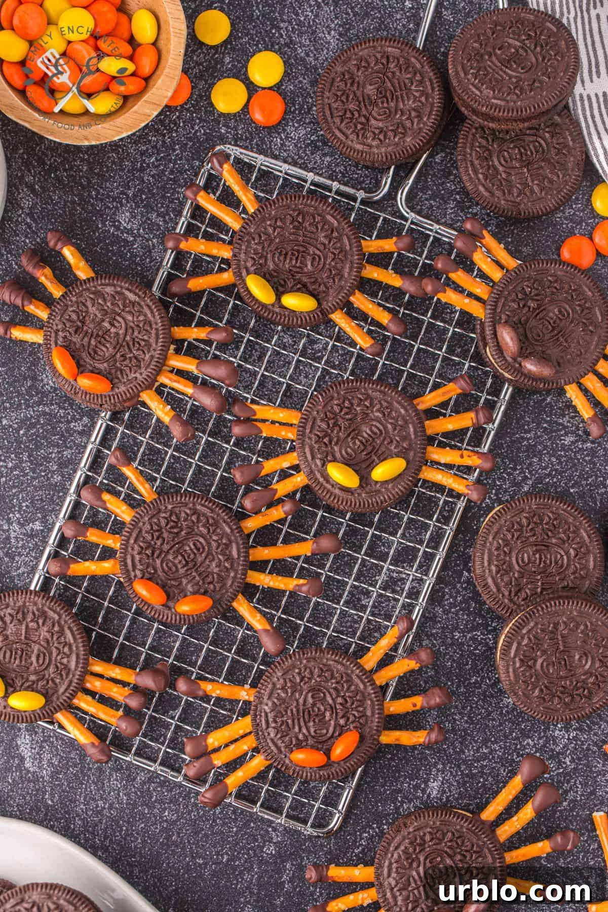 Spider Cookies