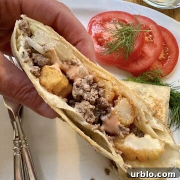A hand holding a half of a French Taco over a plate.