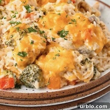 A plate with chicken, rice and melted cheese.