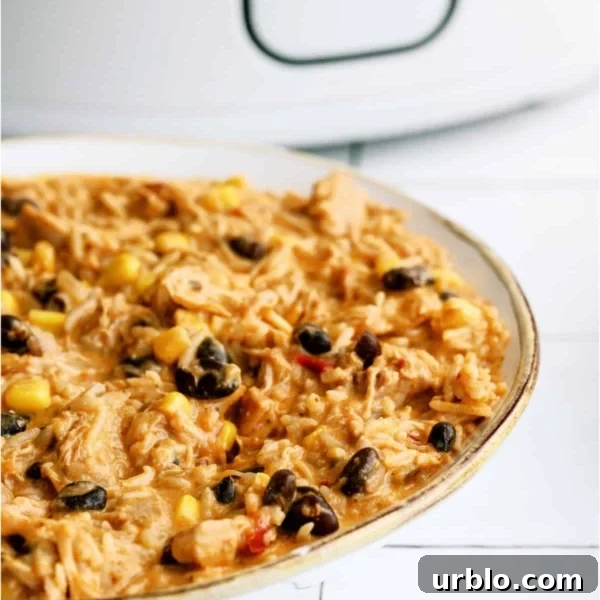 10 Make-Ahead Slow Cooker Freezer Meals Ready in 90 Minutes 2 A bowl of Slow Cooker Southwest Chicken and Rice in front of a slow cooker