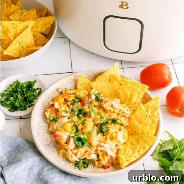 10 Make-Ahead Slow Cooker Freezer Meals Ready in 90 Minutes 3 slow cooker king ranch chicken