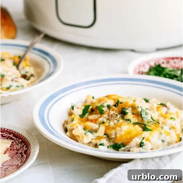 10 Make-Ahead Slow Cooker Freezer Meals Ready in 90 Minutes 4 slow cooker parmesan chicken and rice