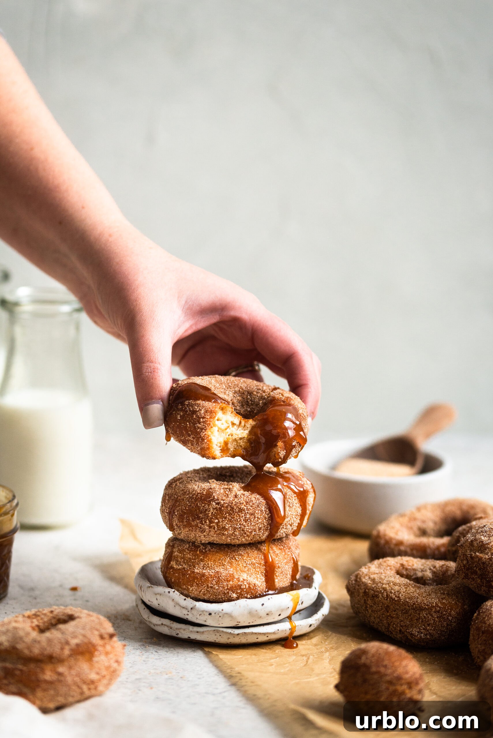 Crispy Fried Apple Cider Donuts Recipe for Fall Treats 3 apple cider donuts