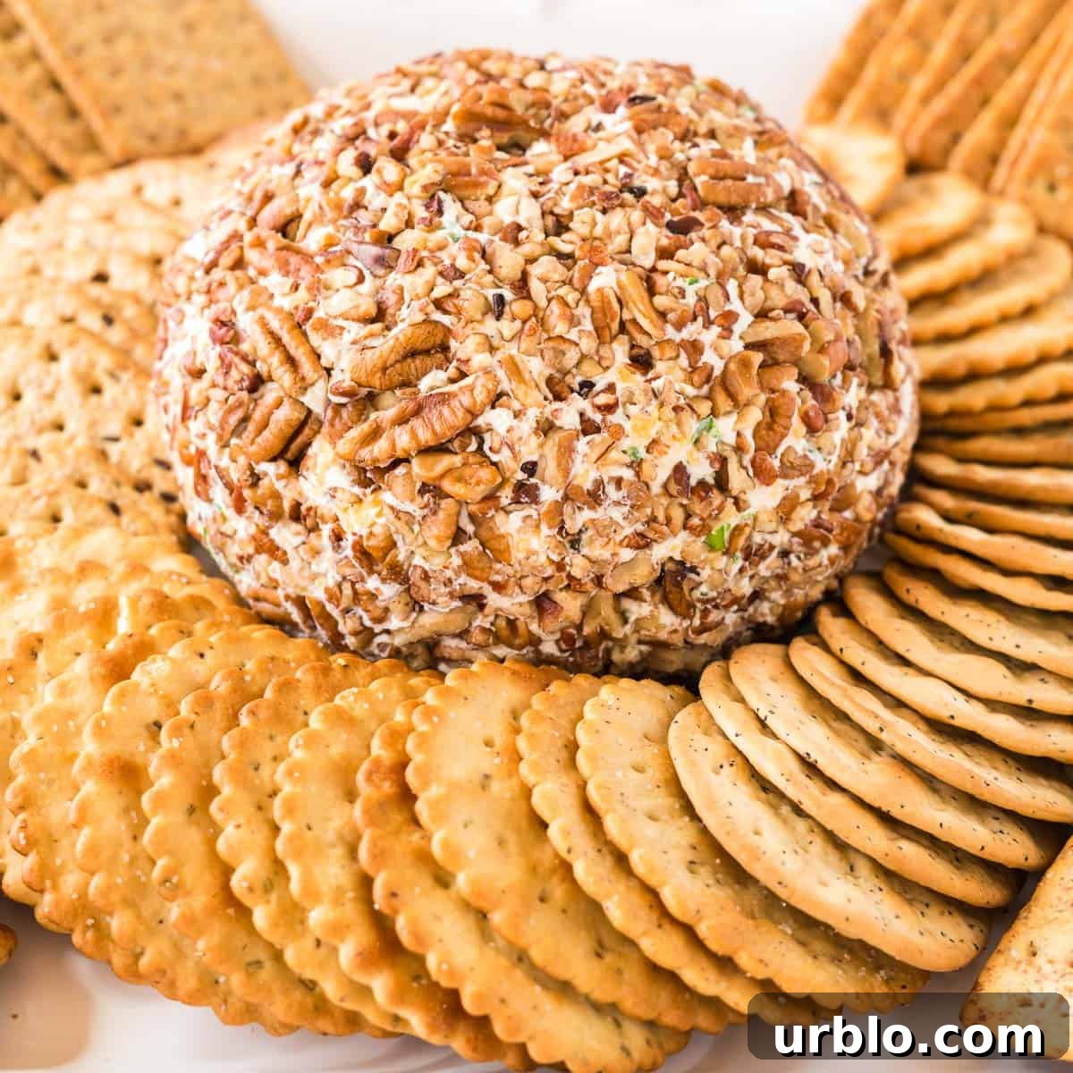 Classic Creamy Cheese Ball Recipe: Party Appetizer Guide 2 cheese ball surrounded by crackers