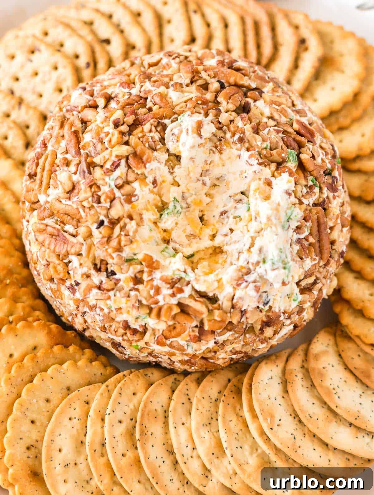 Classic Creamy Cheese Ball Recipe: Party Appetizer Guide 12 cheese ball platter with crackers