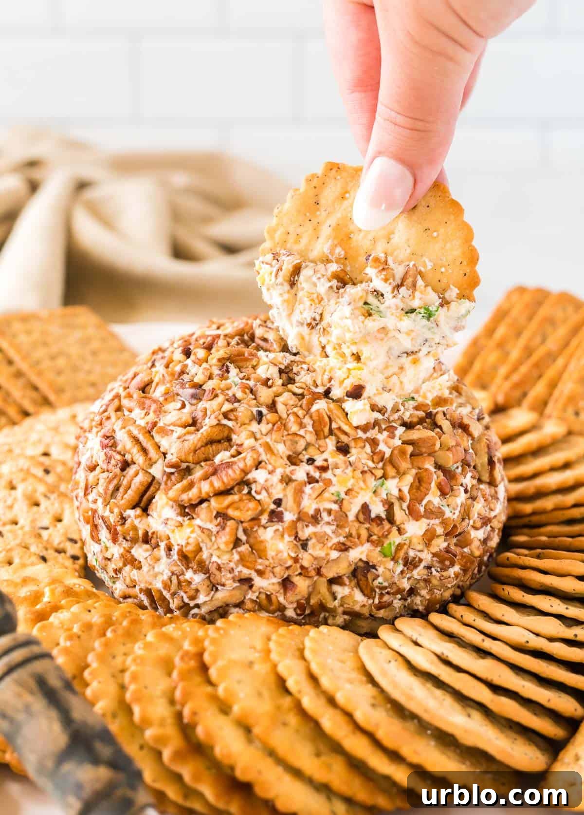 Classic Creamy Cheese Ball Recipe: Party Appetizer Guide 14 holding a cracker dipped in cheese ball