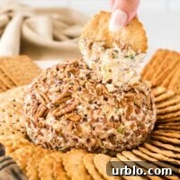 Classic Creamy Cheese Ball Recipe: Party Appetizer Guide 15 cheese ball surrounded by crackers