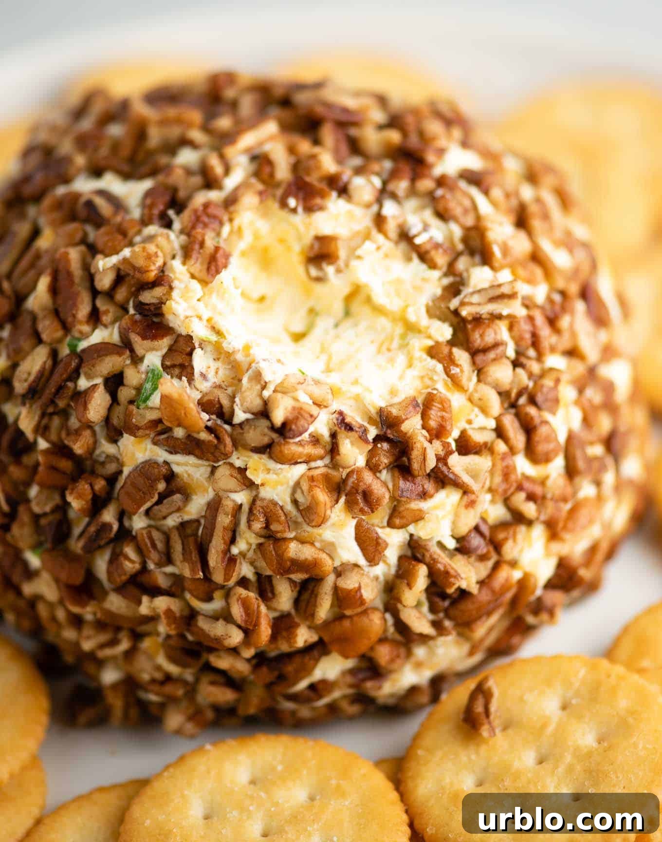 Classic Creamy Cheese Ball Recipe: Party Appetizer Guide 16 sour cream and cream cheese ball with a bite taken out of the top