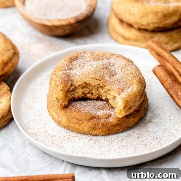 Snickerdoodle cookies stacked on a plate. The top cookie has a bite removed.