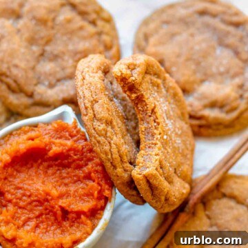 Pumpkin cookies leaning on a cup of pumpkin puree. One has a bite removed.