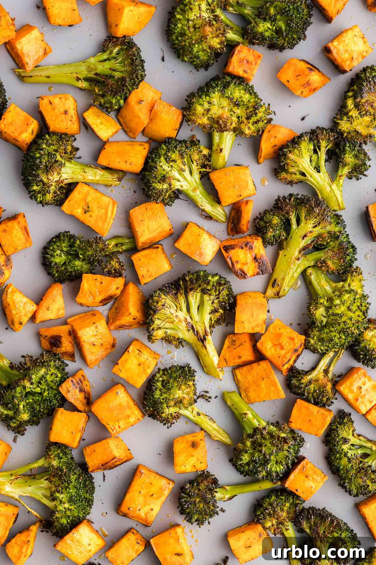 roasted veggies on aplate