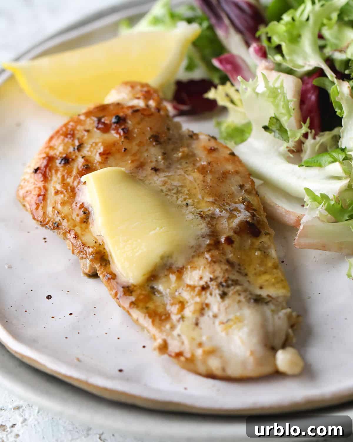21 Spring High-Protein Low-Carb Dinners Under 450 Calories 6 Cast Iron Skillet Chicken Breast