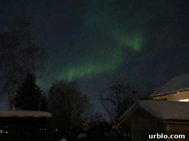 Northern Lights