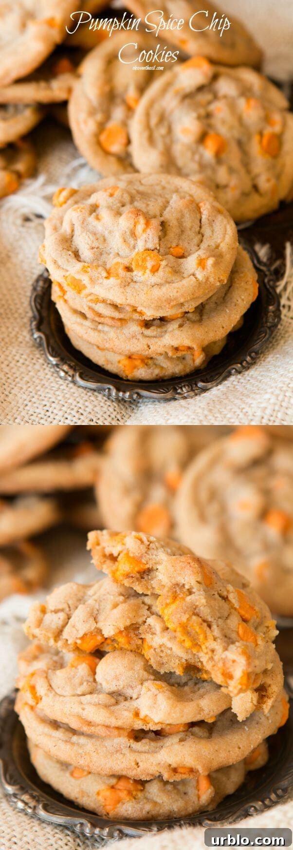 We are loving these pumpkin spice chips in an easy spice cookie! ohsweetbasil.com