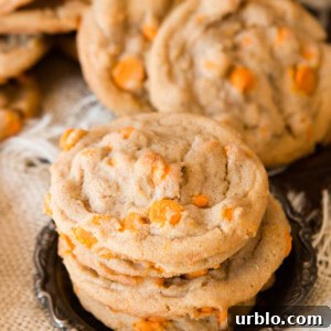 Delicious pumpkin spice chips only come out during the holidays and we love to make these spice cookies loaded with them. ohsweetbasil.com