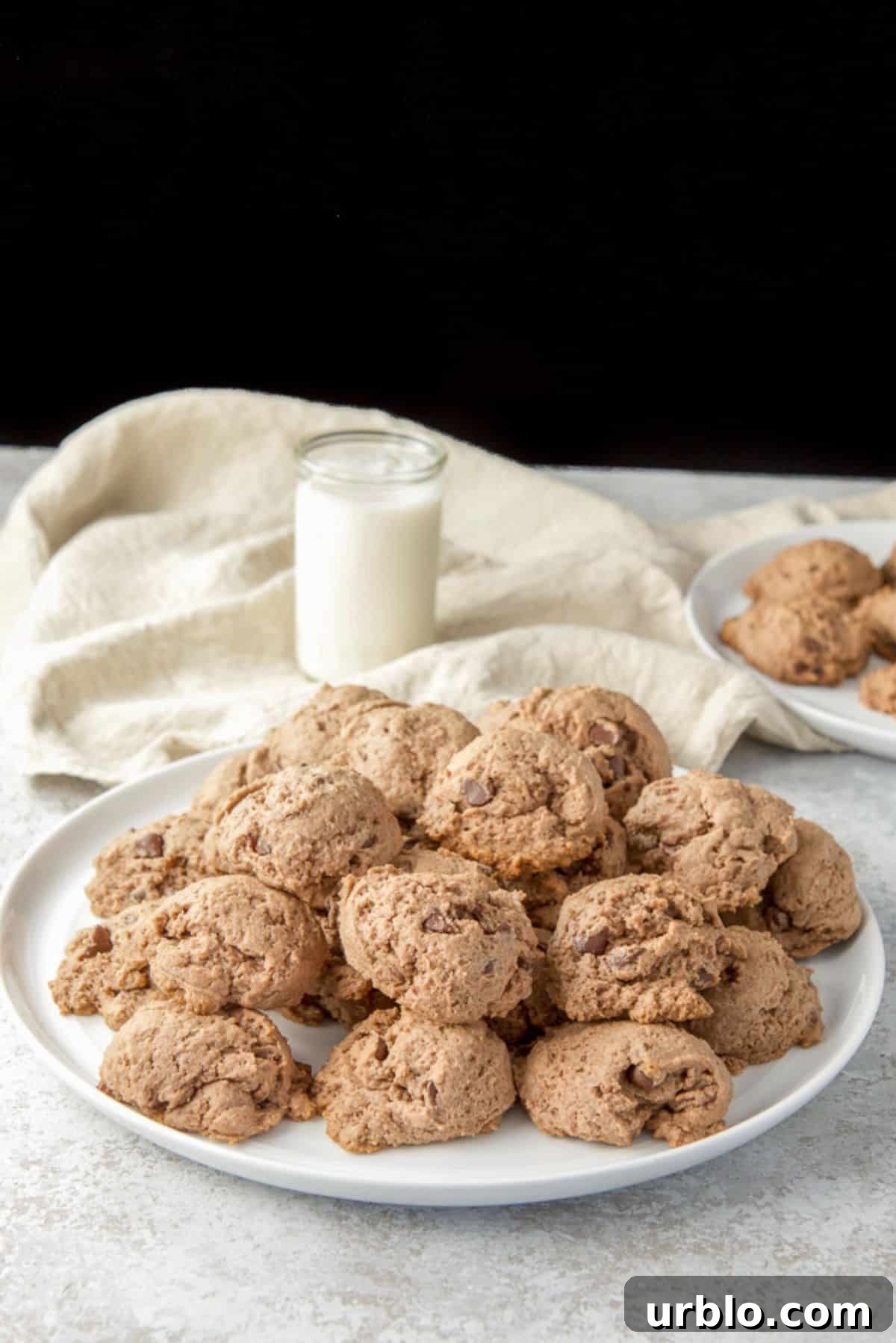 Pile of cookies on a big plate with a smaller plate of them in the background as well as a glass of milk