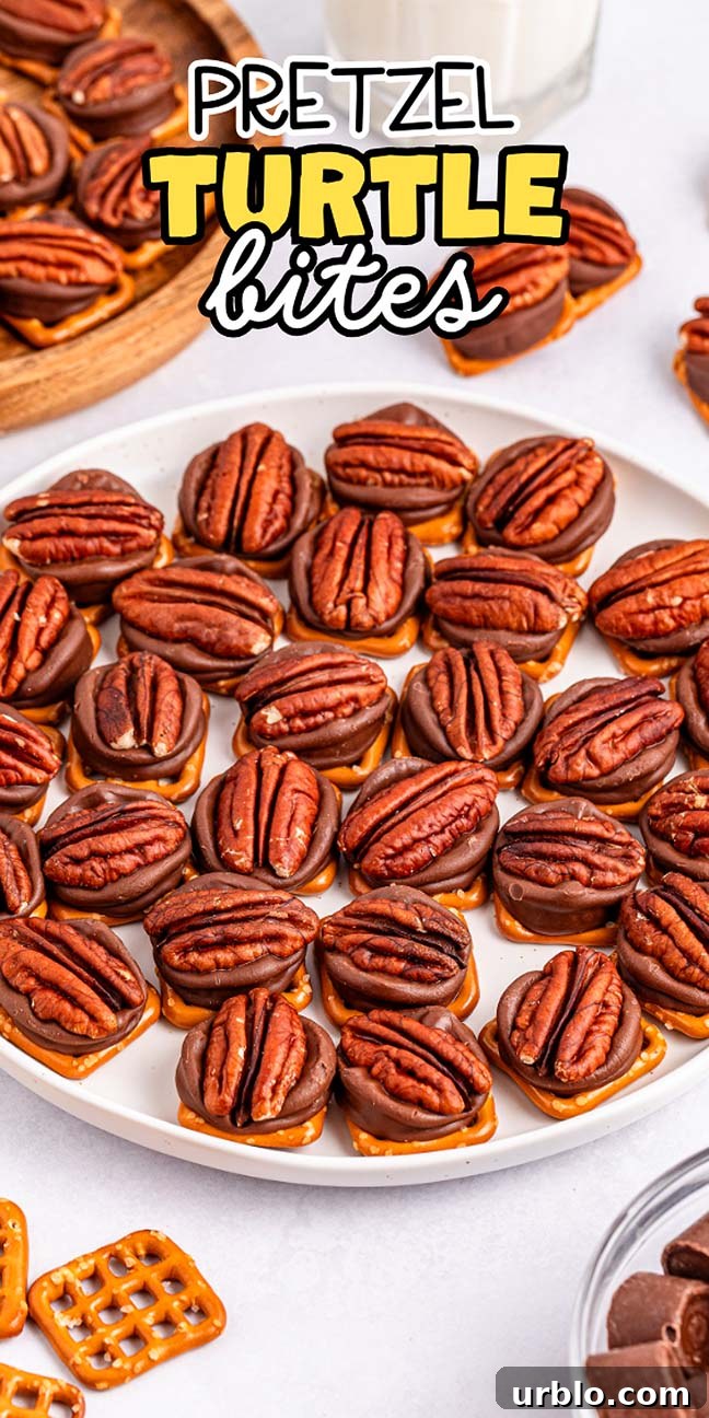 A plate filled with delectable pretzel turtle bites, each treat generously topped with rich chocolate and crowned with a whole pecan.