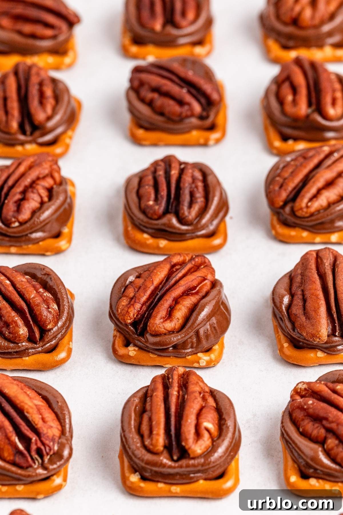 Rows of pretzel turtle bites, rich with chocolate, caramel, and pecans, are arranged neatly on a light surface.