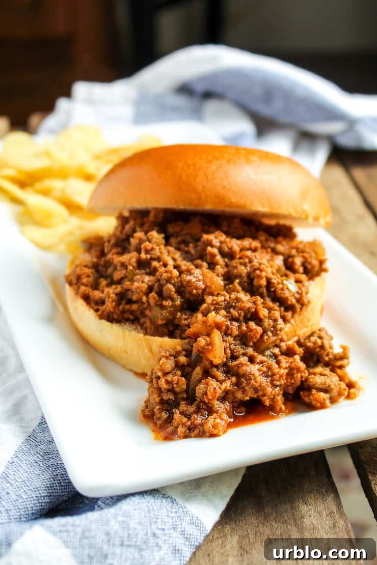 Sloppy Joe and chips on plate.