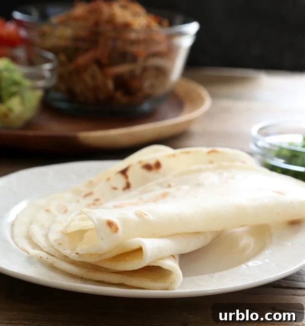Tortillas on a white plate 