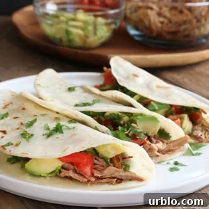 Gluten free carnitas