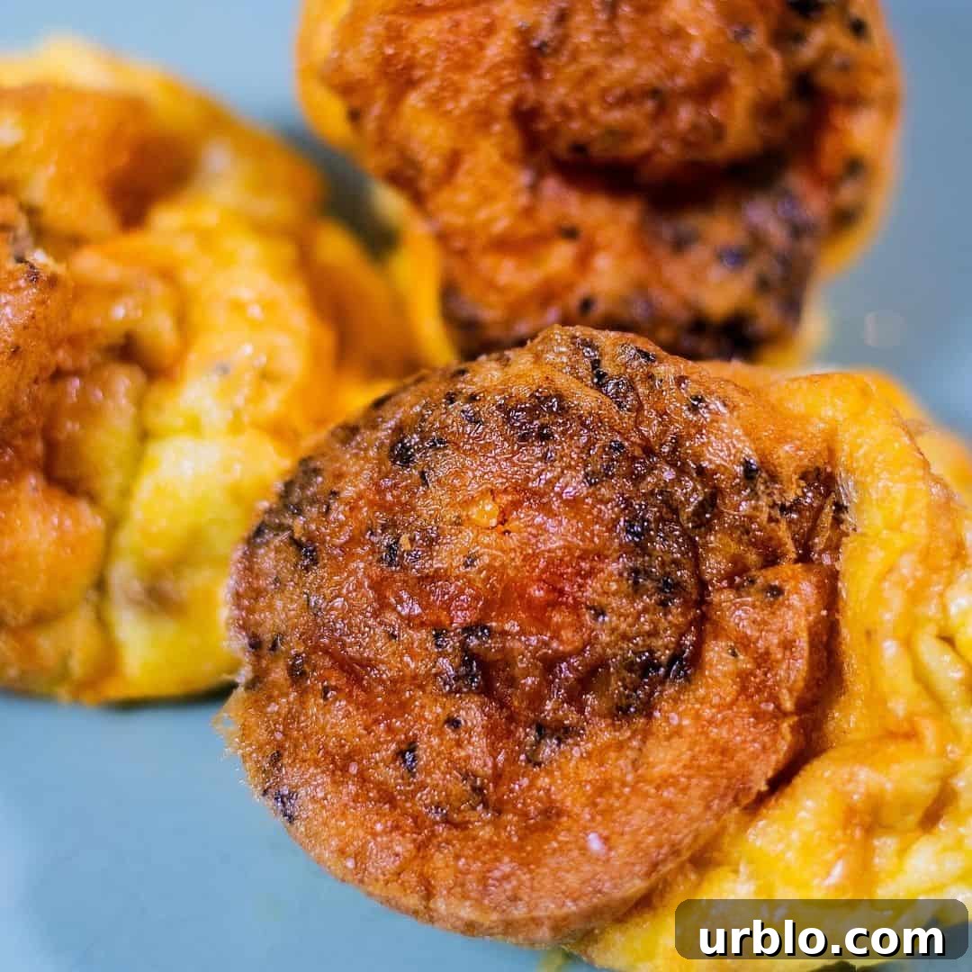 keto egg fast bites on blue plate