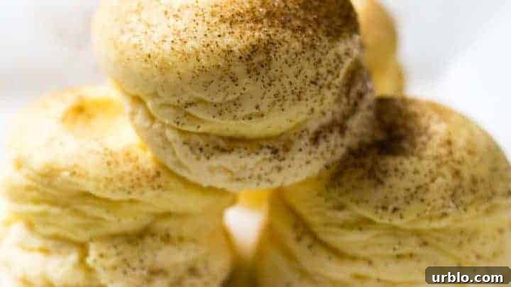 Instant Pot Sous Vide Egg Bites for the Egg Fast!